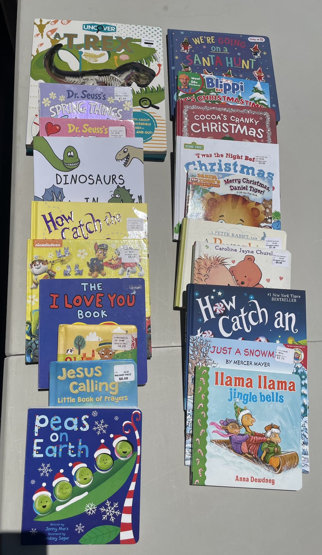 Children’s Book Haul