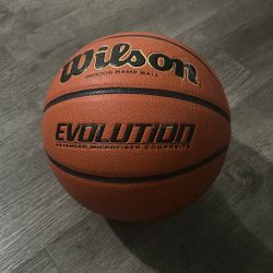 Wilson Evolution Indoor Basketball