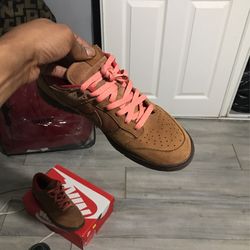 Nike skate board dunks 