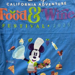 Disney Spirit Jersey 