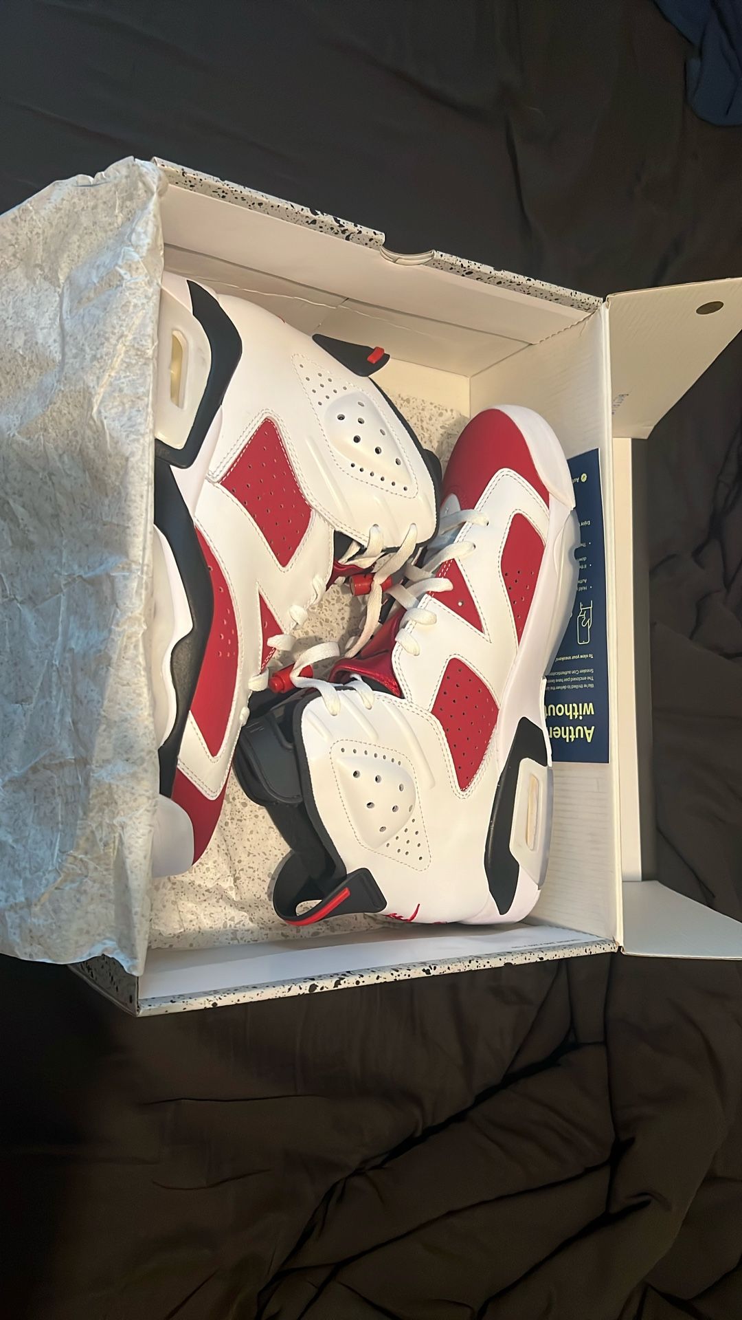 Air Jordan 6 OG Carmine