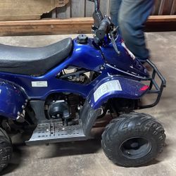 Tao Tao 110 Cc Quad Four Stroke it’s a $1000 quad