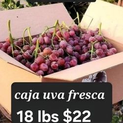 Caja De Uva Fresca En( Lindsay)