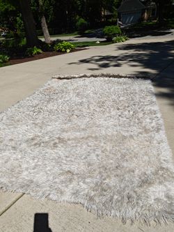 Large shave area rug good condition $50 OBO