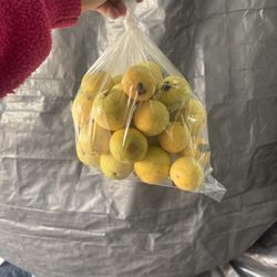 Guavas 
