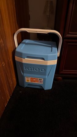 Mini ice chest