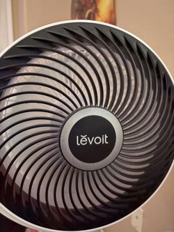 Levoit Fan