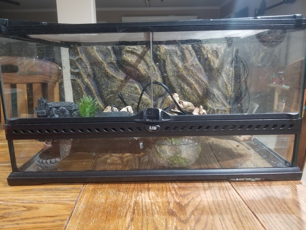 Reptile Tank 