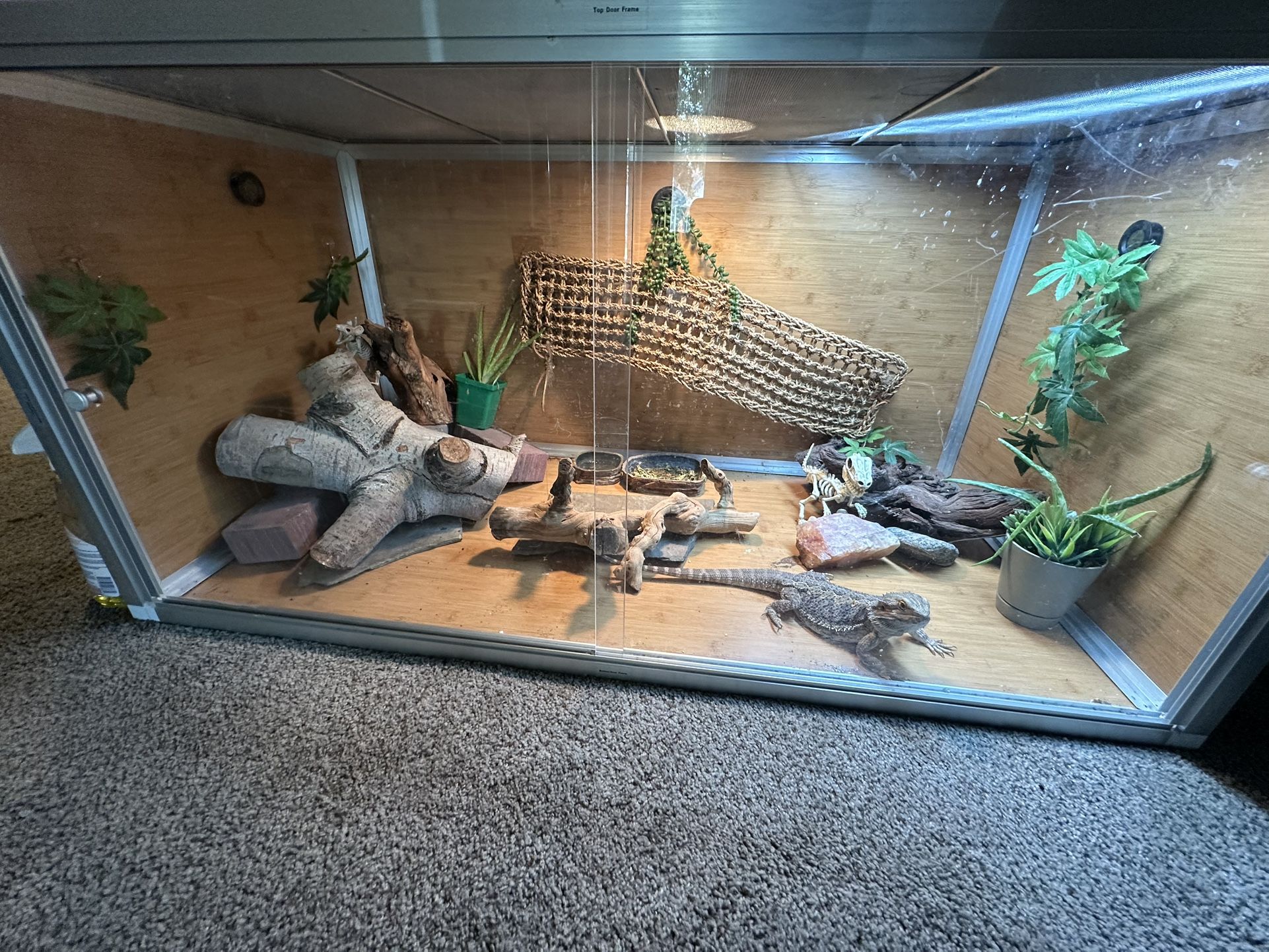 Reptile Enclosure