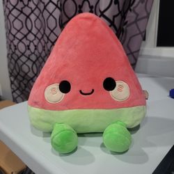 Cute Sitting Watermelon Plushie