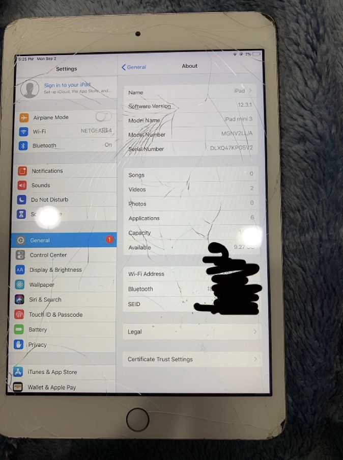 iPad mini 3