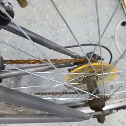 Used Bicycle Rear Wheel with Chain