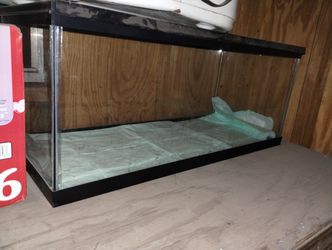 reptile enclosure