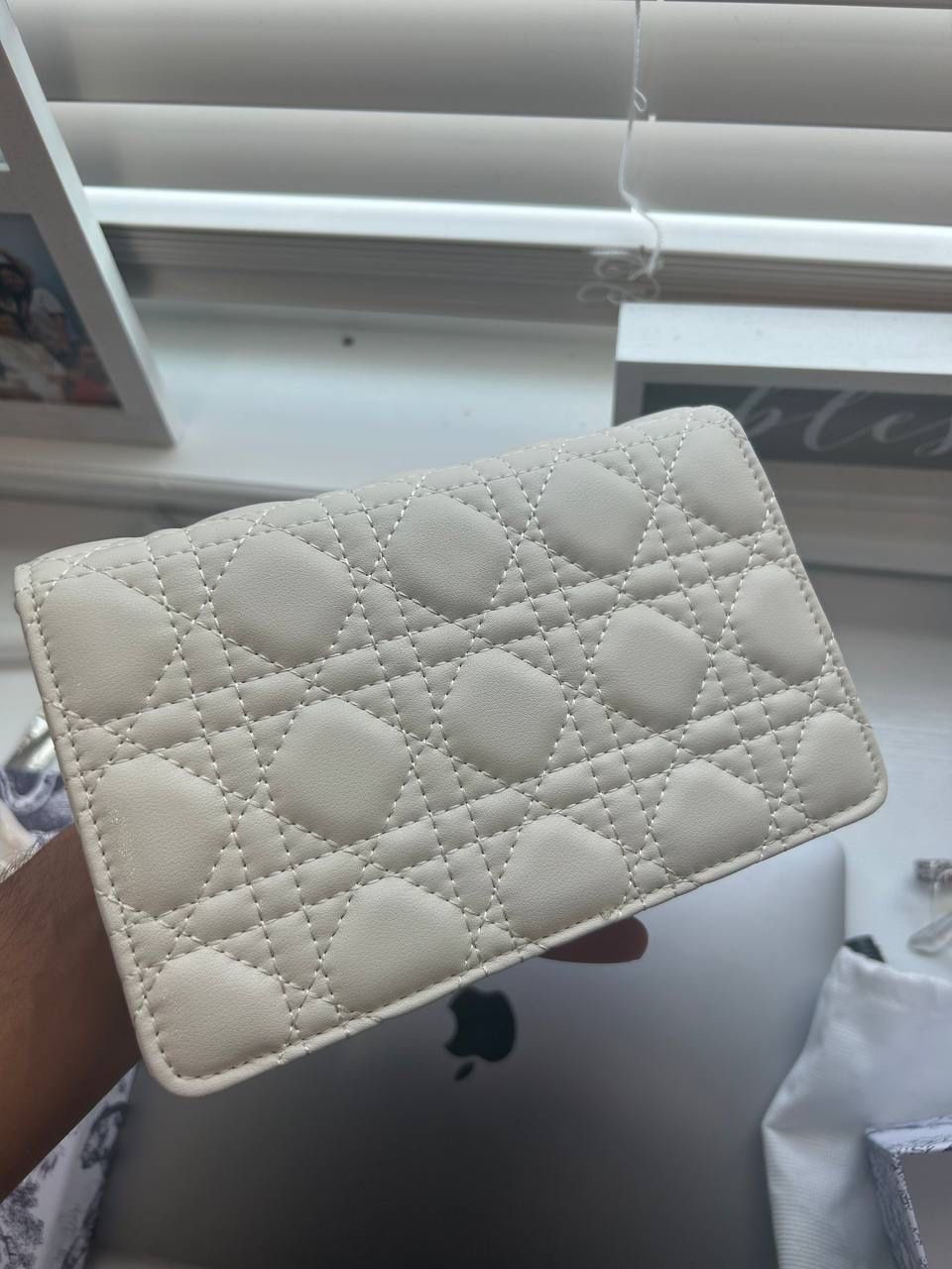 dior bag
