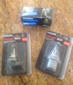 Philips Halogen replacement bulbs