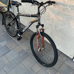 Schwinn Ranger Mt. Bike 26” Wheels. Frame 18” / 46Cm 
