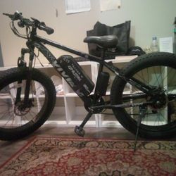 VIVI E-Bike Model F26F 