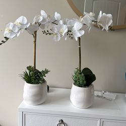 Potted Faux Orchid