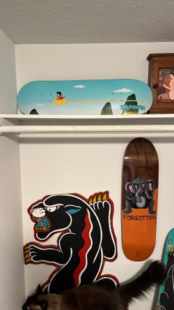 Skateboards BUNDLE DEALS! (new) 