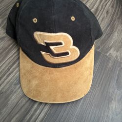 Vintage Dale Earndhart SnapBack