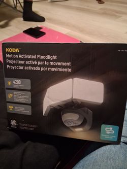Koda motion activated floodlight