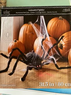 Animated Halloween spider