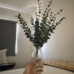 Small glass vase and 13 stem of fake eucalyptus