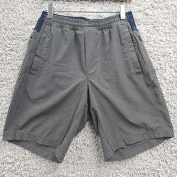 Birddogs Shorts Men Small Gray Lined Zip Pocket Long Active Comfort Gym Beach
