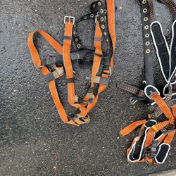 Full Body Harness Size S/M