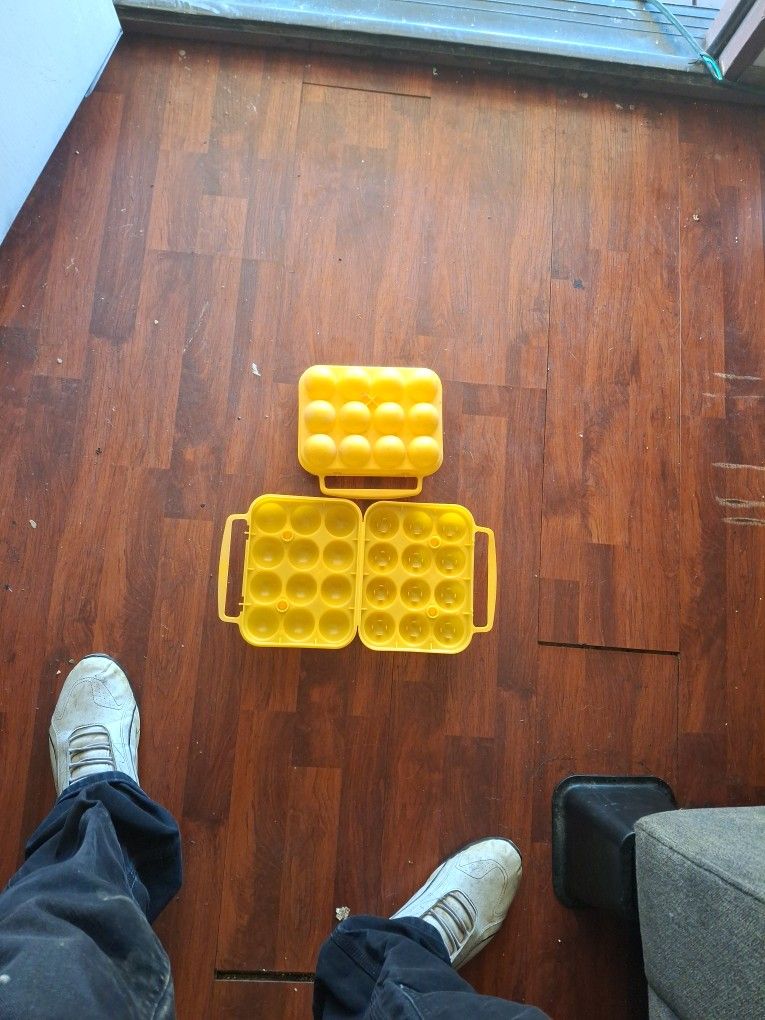 Egg Container 