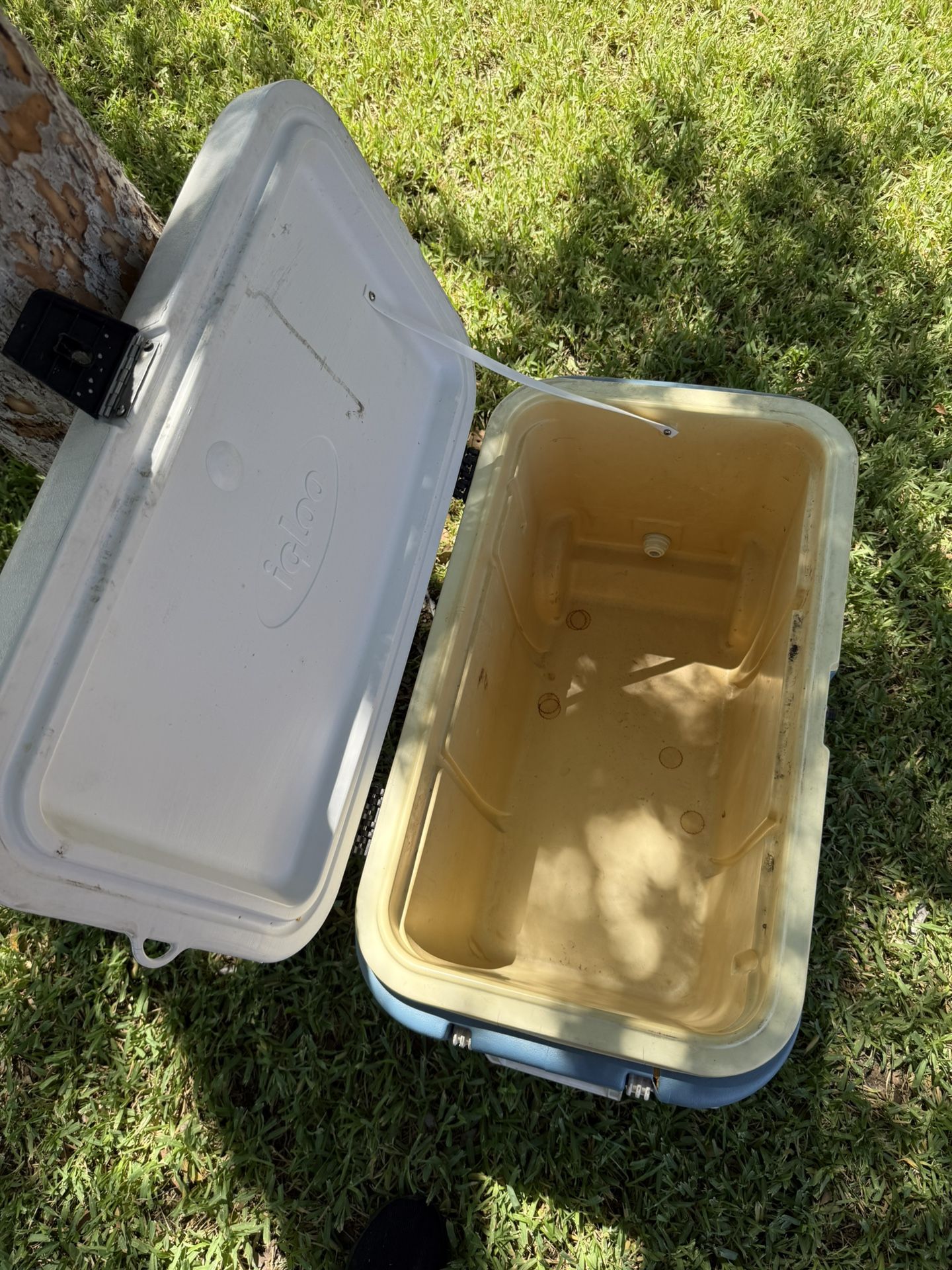 Cooler
