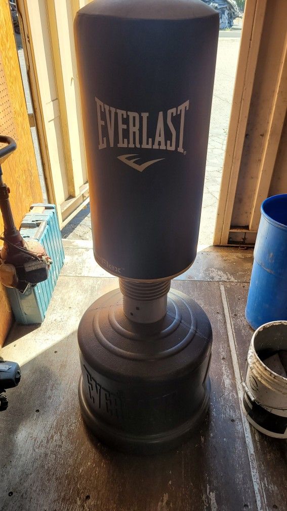 Punching Bag Everlast 