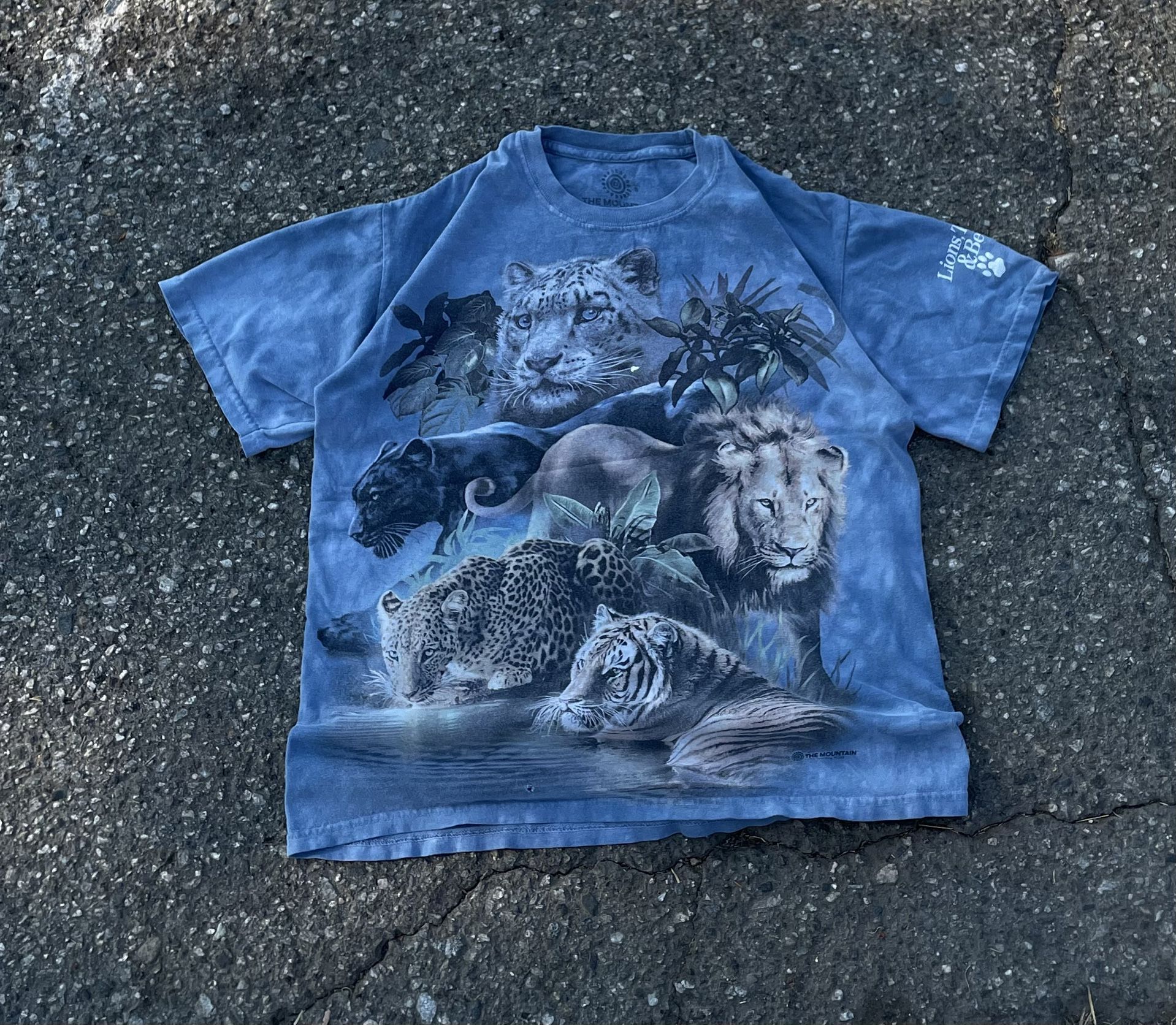 Vtg The Mountain Kids