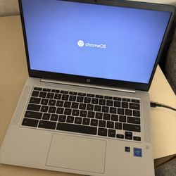 Hp Chromebook Laptop