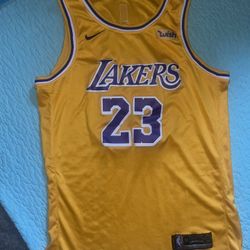 Los Angeles Lakers LeBron James Jersey Men’s Large
