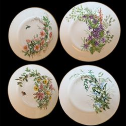 Four Antique Haviland Limoges France Plates 7.25” Bird Butterfly Botanical Handpainted  with Gold Trim.