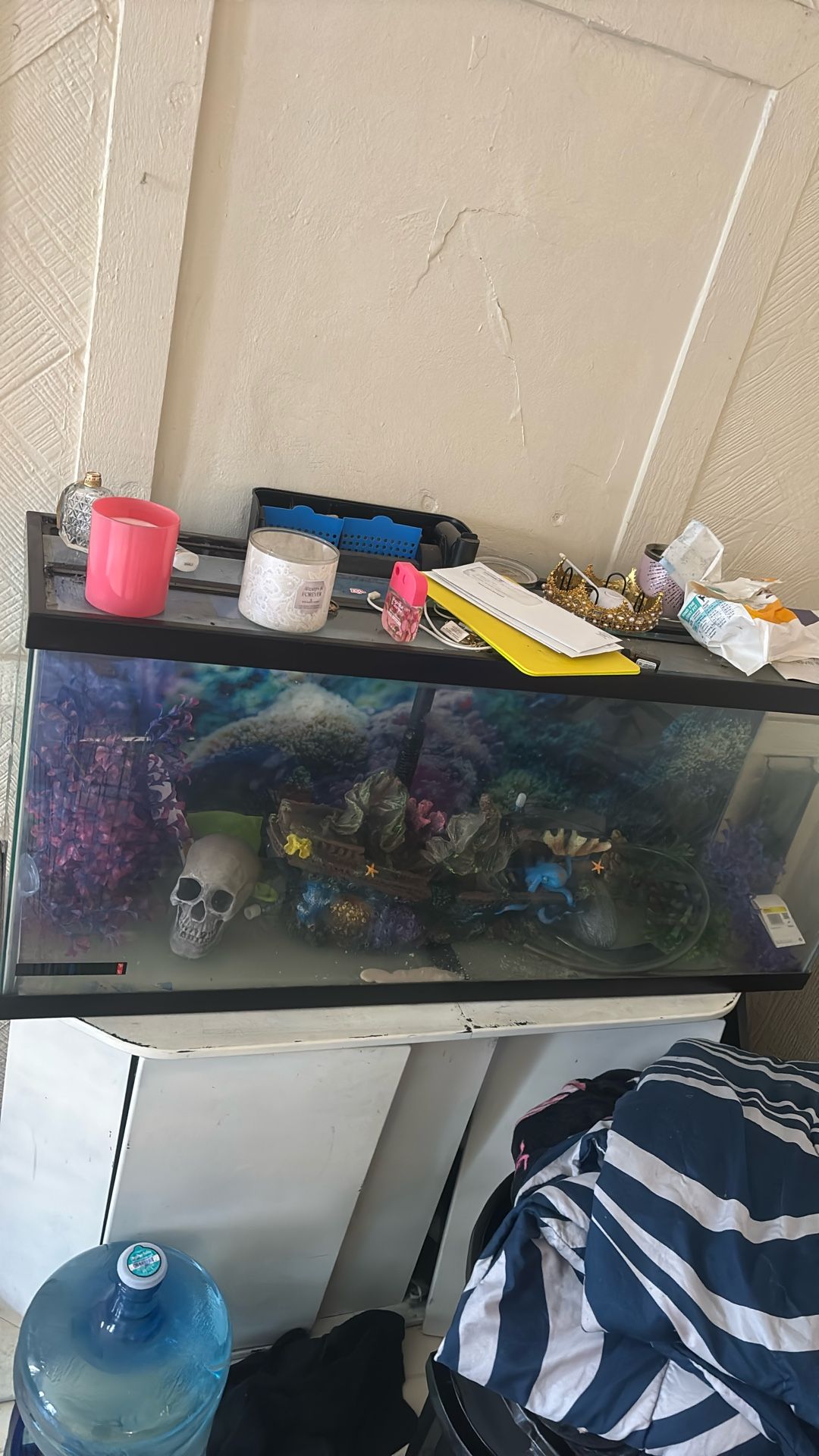 Fish Tank For Sale