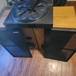 Pioner Speaker 