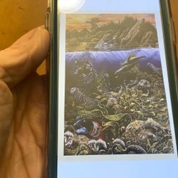 Robert Lyn Nelson Marine Wildlife Art Print Orca And Sea Otter Pelican Ocean Reef