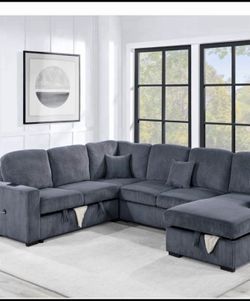$650 sectional couch pull out bed with storage plus Chase storage usb