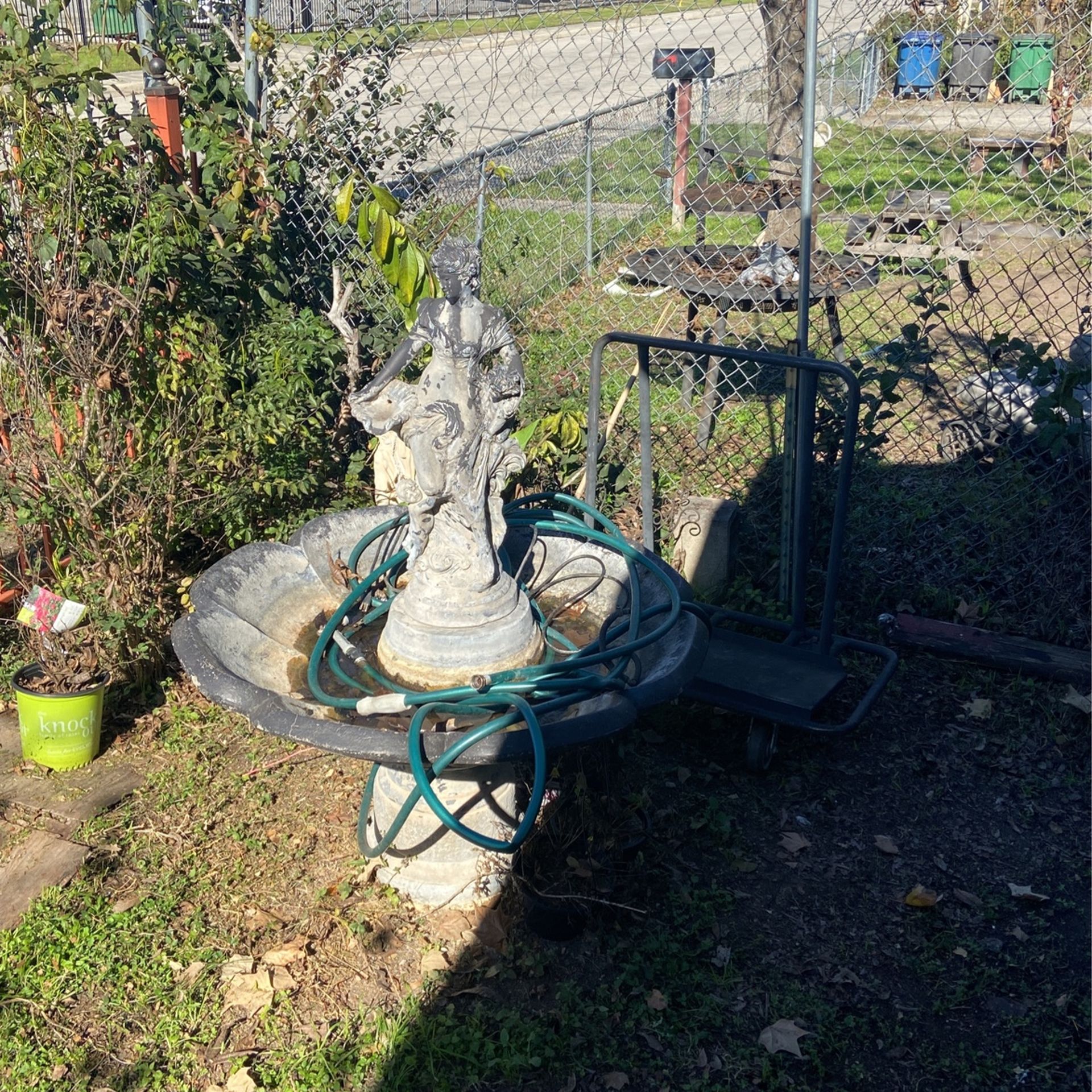 Lady Fountain Birdbath