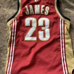 Lebron James Kids Jersey 