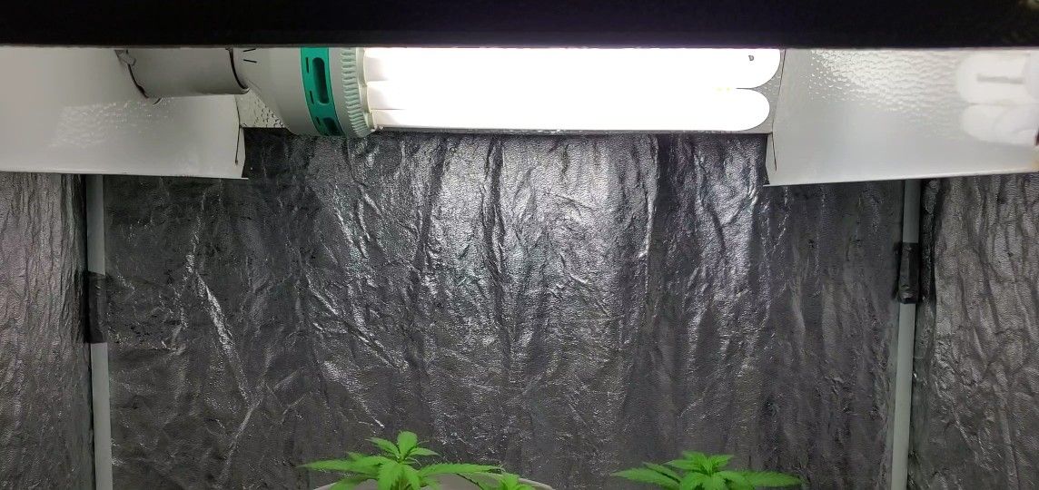 200 Watt CFL Grow Light