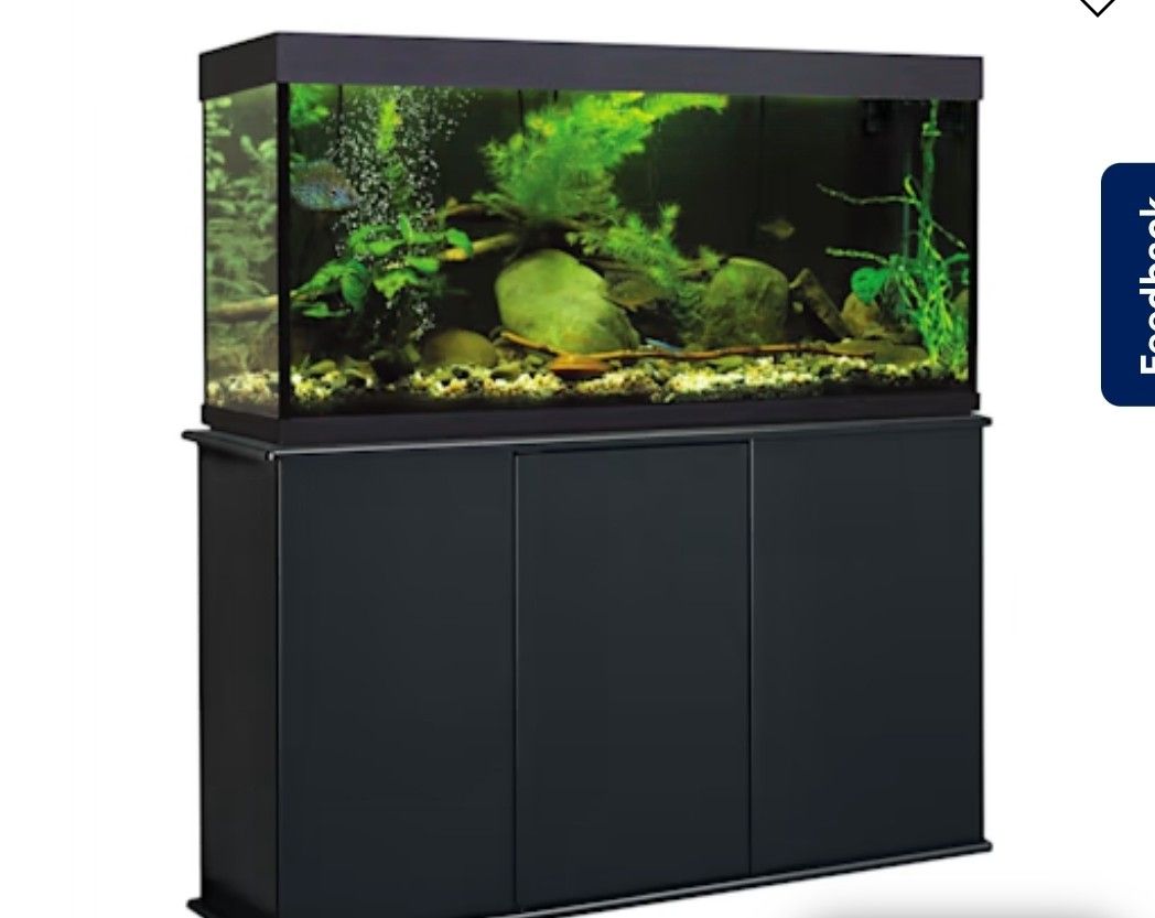 75 G Or 54 Gal Tanks With Stands And Top. 54 Is Corner Bowfront