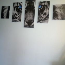 5 Pieces Tiger Canvas 