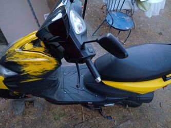 Ice bear scooter