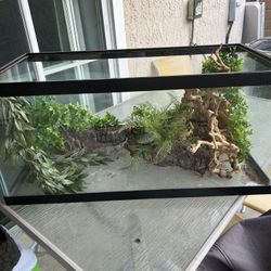 Reptile Tank 