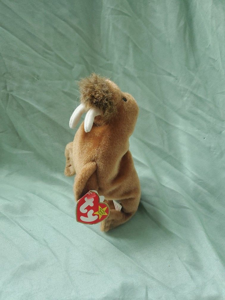TY Beanie Baby, Paul The Walrus, Vintage