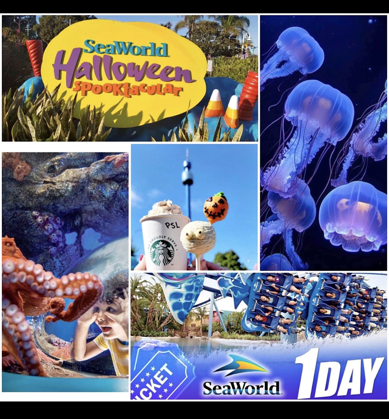 Seaworld tickets X4 Expires September 30th