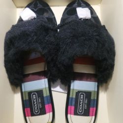 Coach Slippers